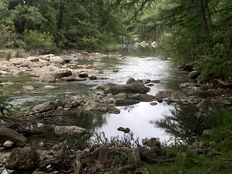 Clear Texas river under cypress