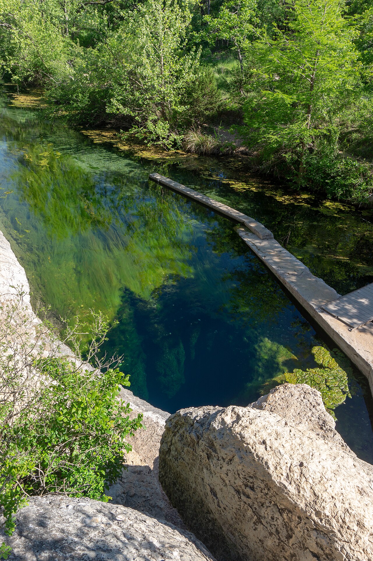 Jacob’s Well, Wimberley